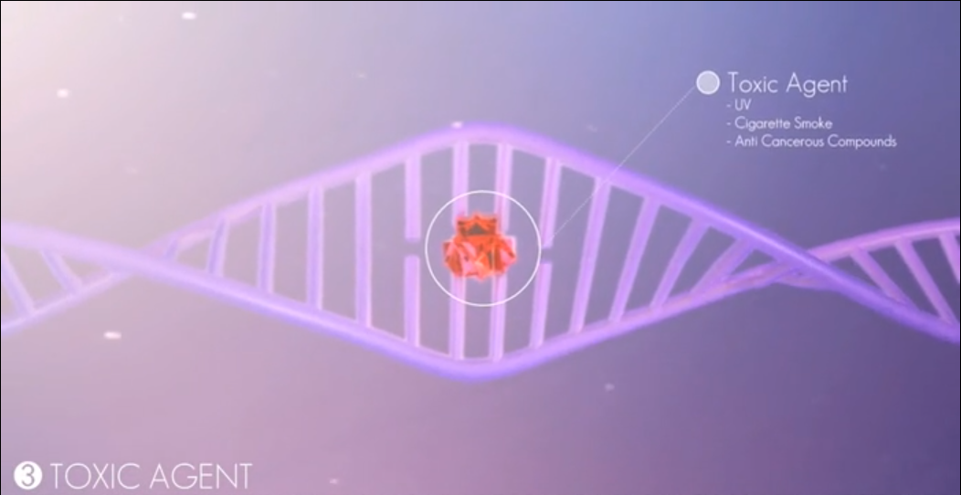 Attaque d'un agent toxique sur l'adn