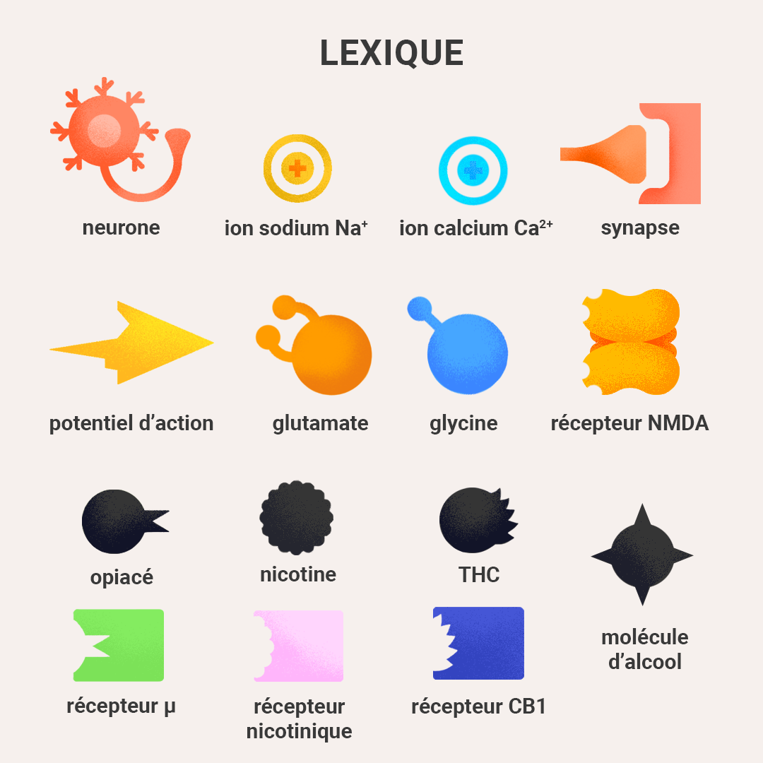 Lexique